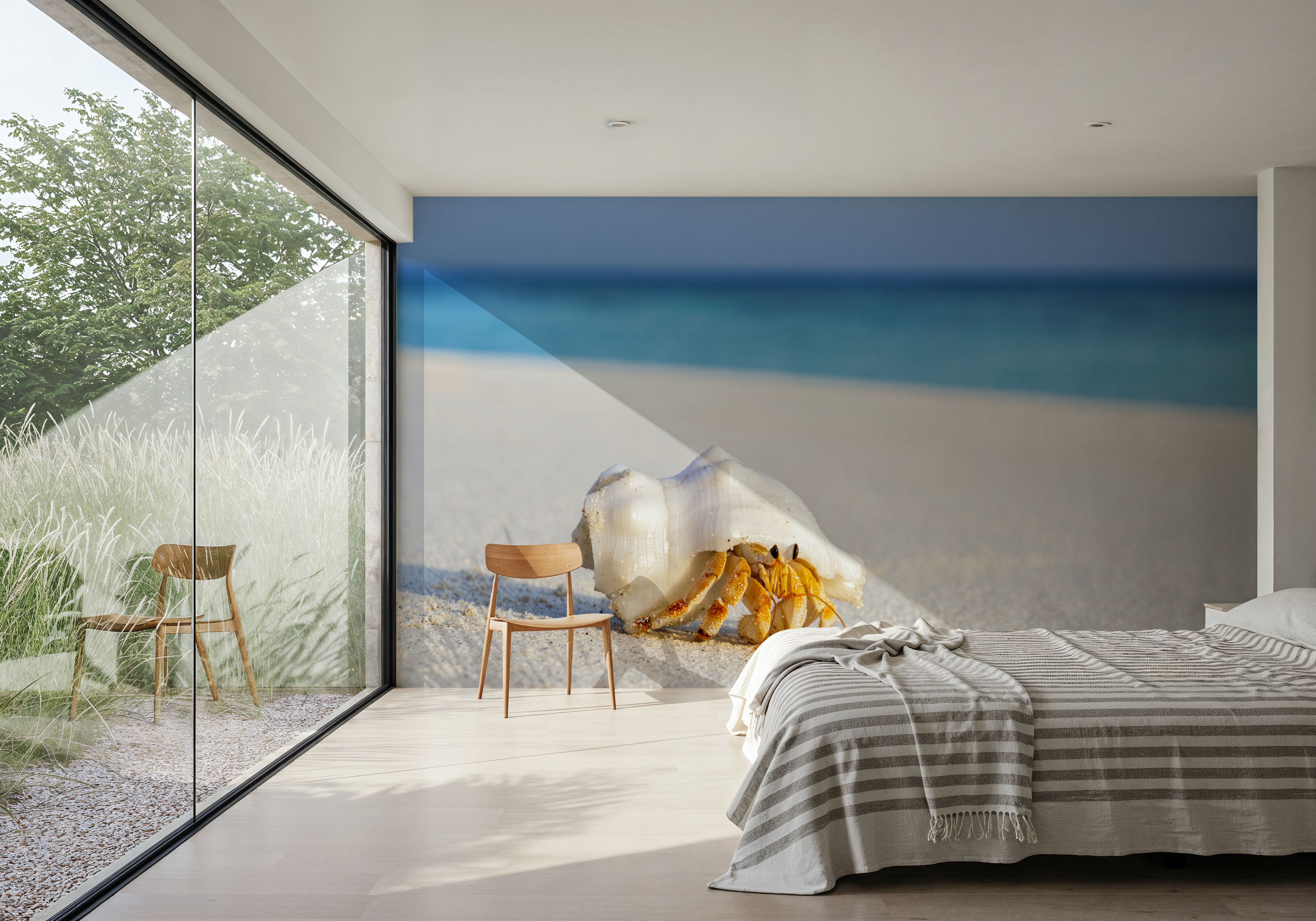 Hermit Crab, Wallpaper