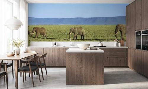 Savanna Migration