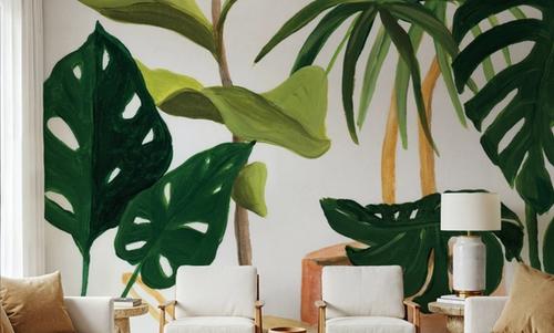 Potted Plants
