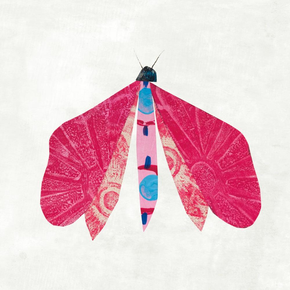 Collage Insects VI