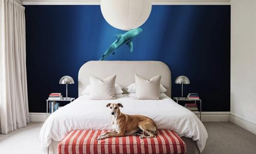 Lone Shark