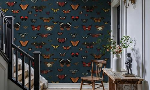 Butterfly Collection Teal