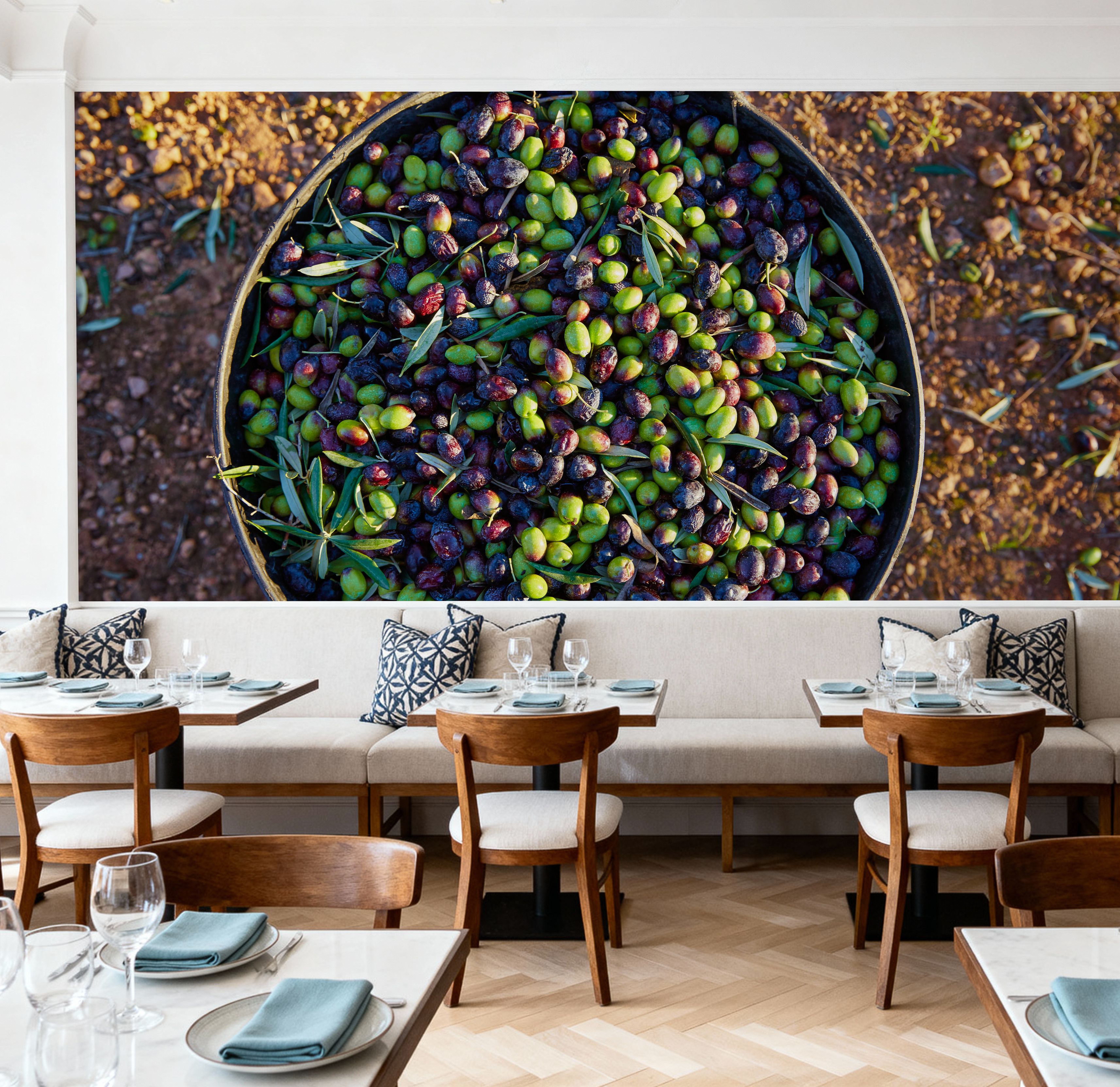 Olive Harvest