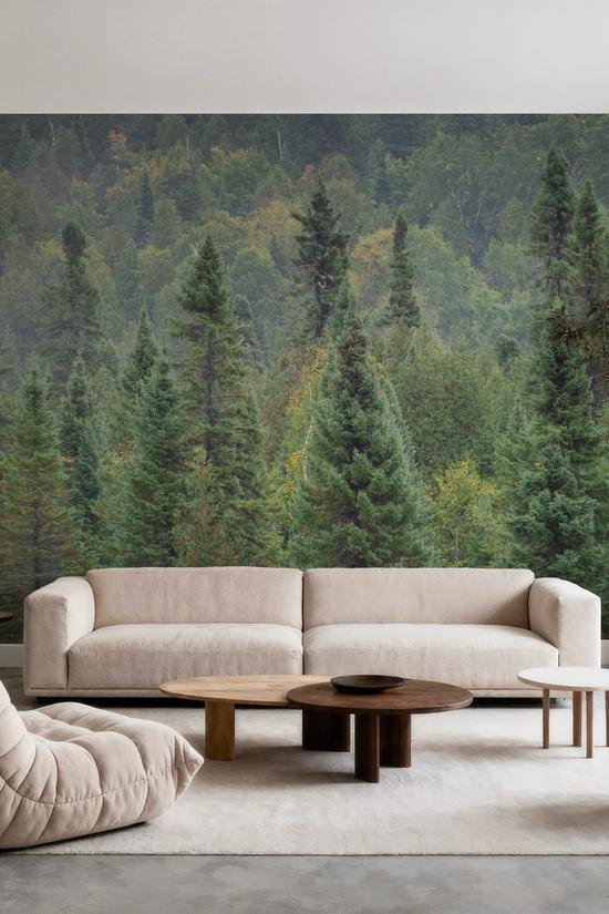 Superior Forest