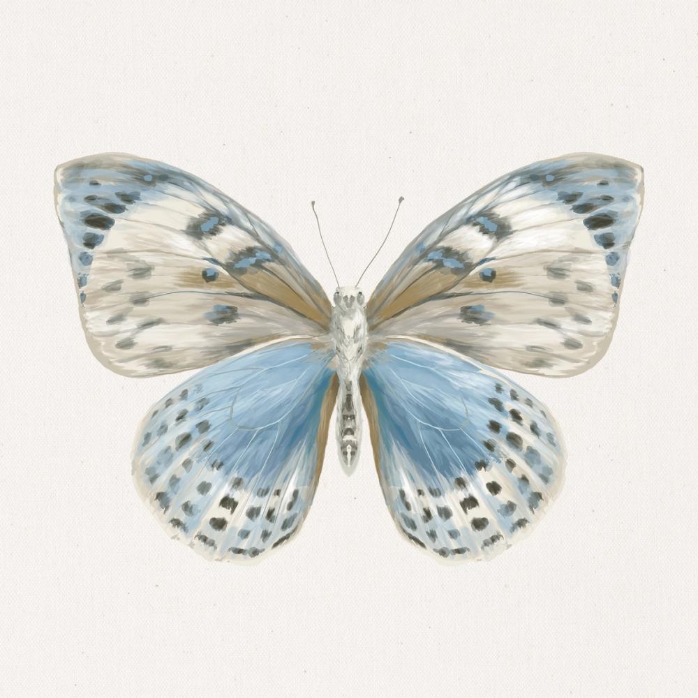 Beetles and Butterflies IV Neutral