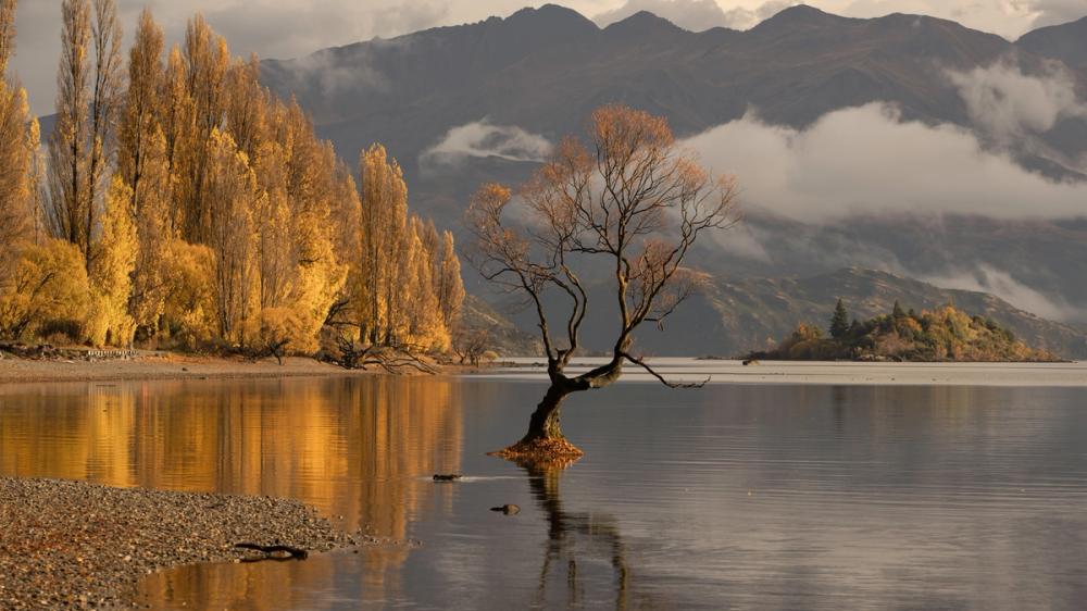 Autumn in Wanaka
