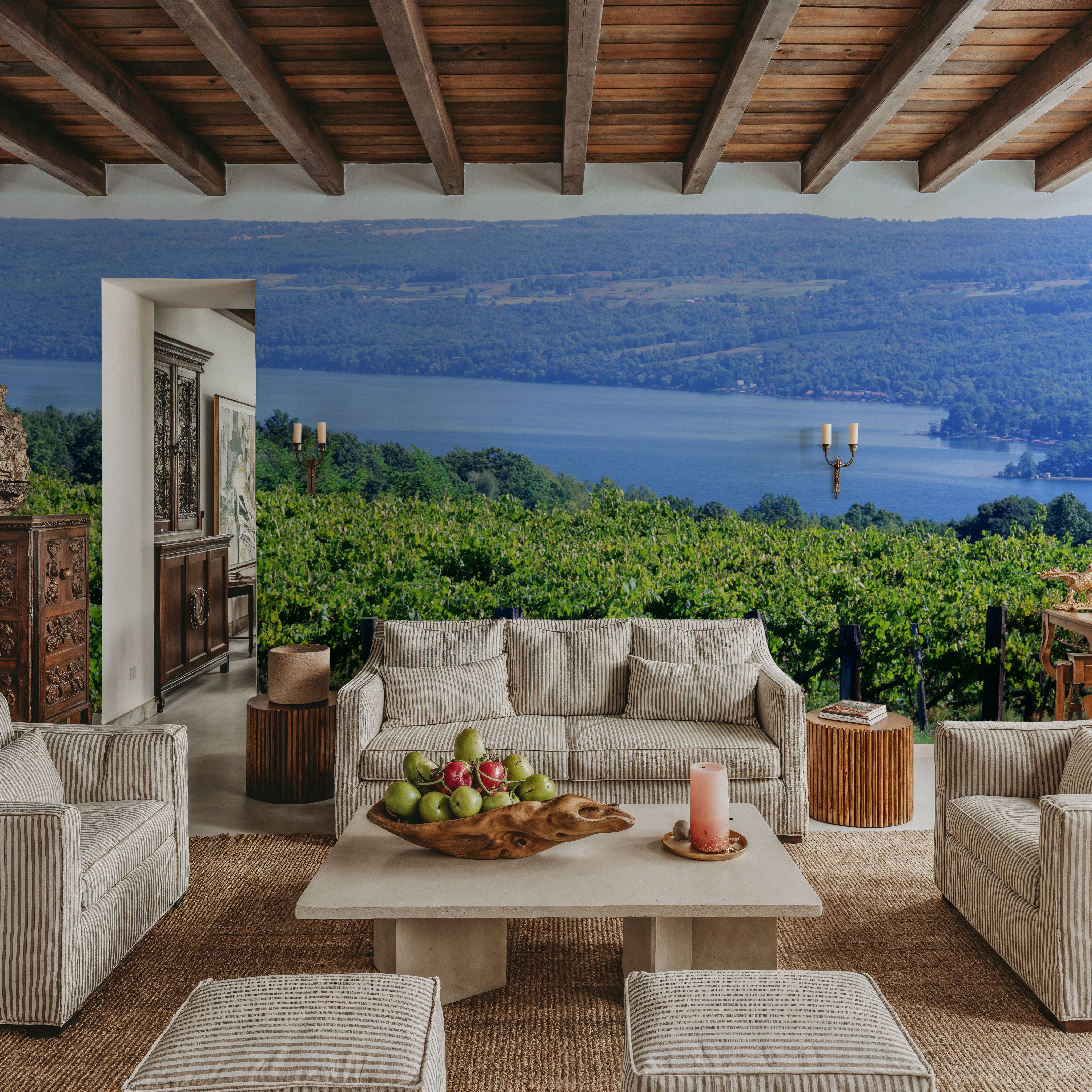 Vineyard Vista