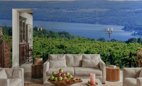Vineyard Vista