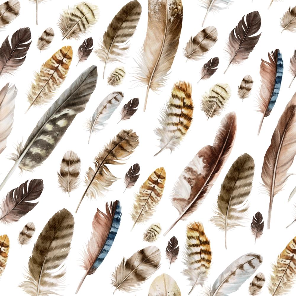 The Feather Collection