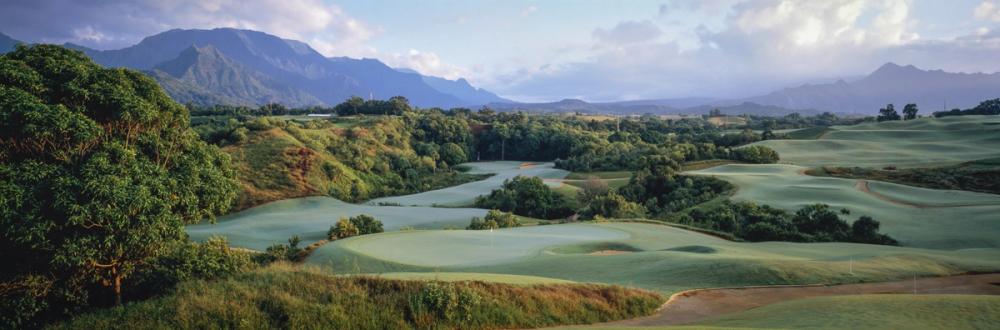 Kauai Island Golf
