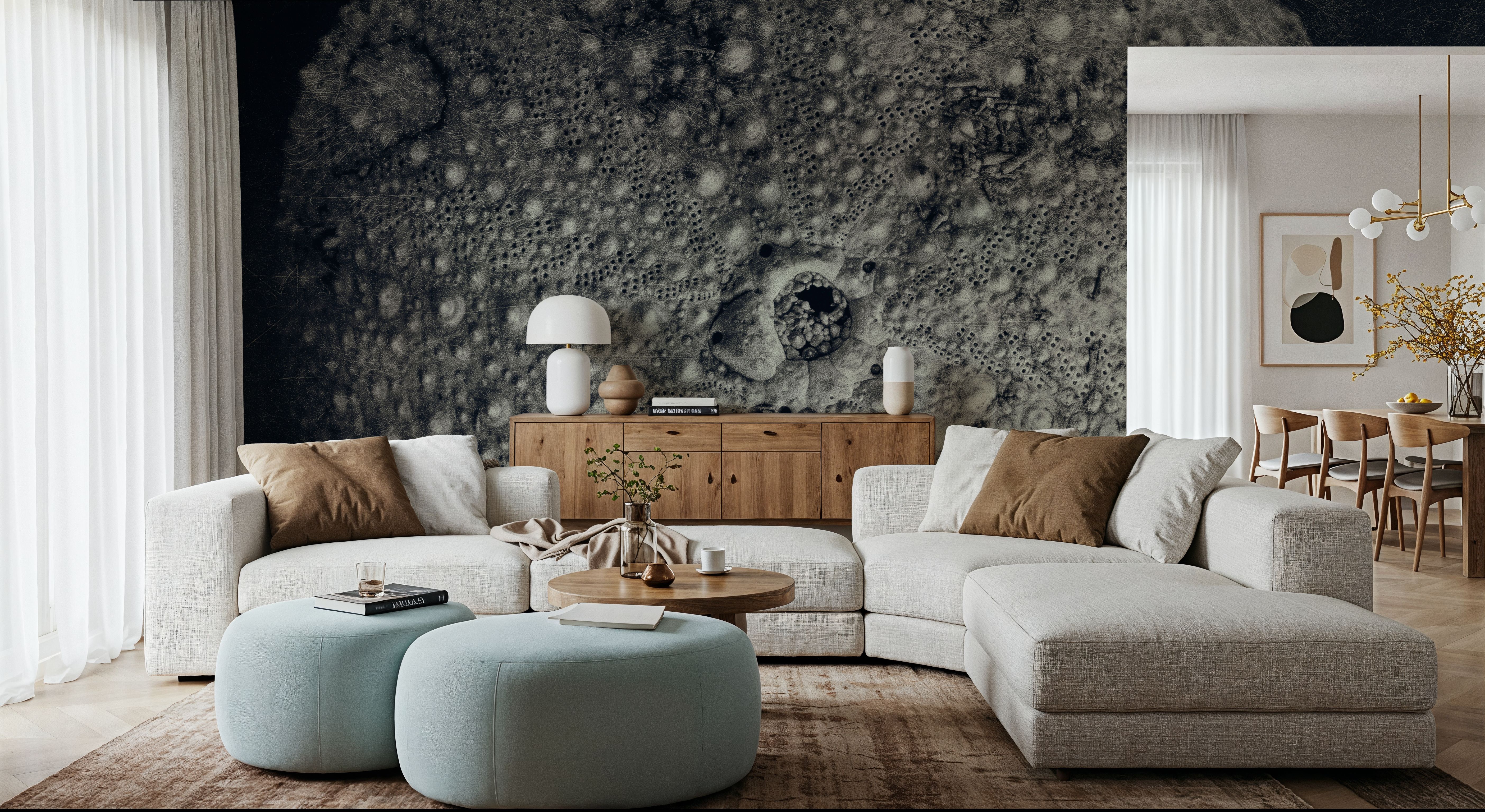 Urchin Still Life III