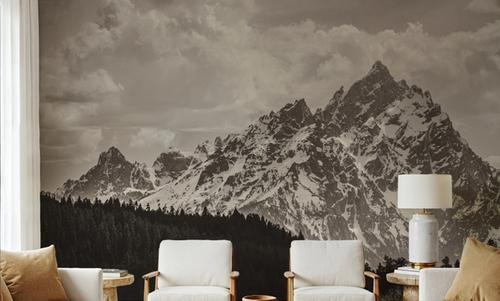 Grand Tetons in Summer