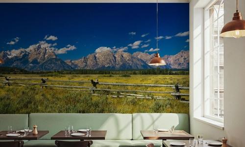 Grand Teton Range Field