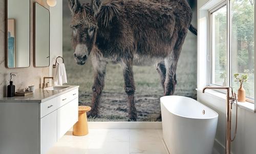 Donkey Summer III
