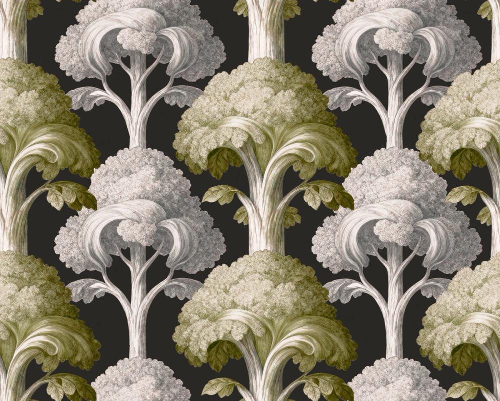 Eat Your Greens, Olive