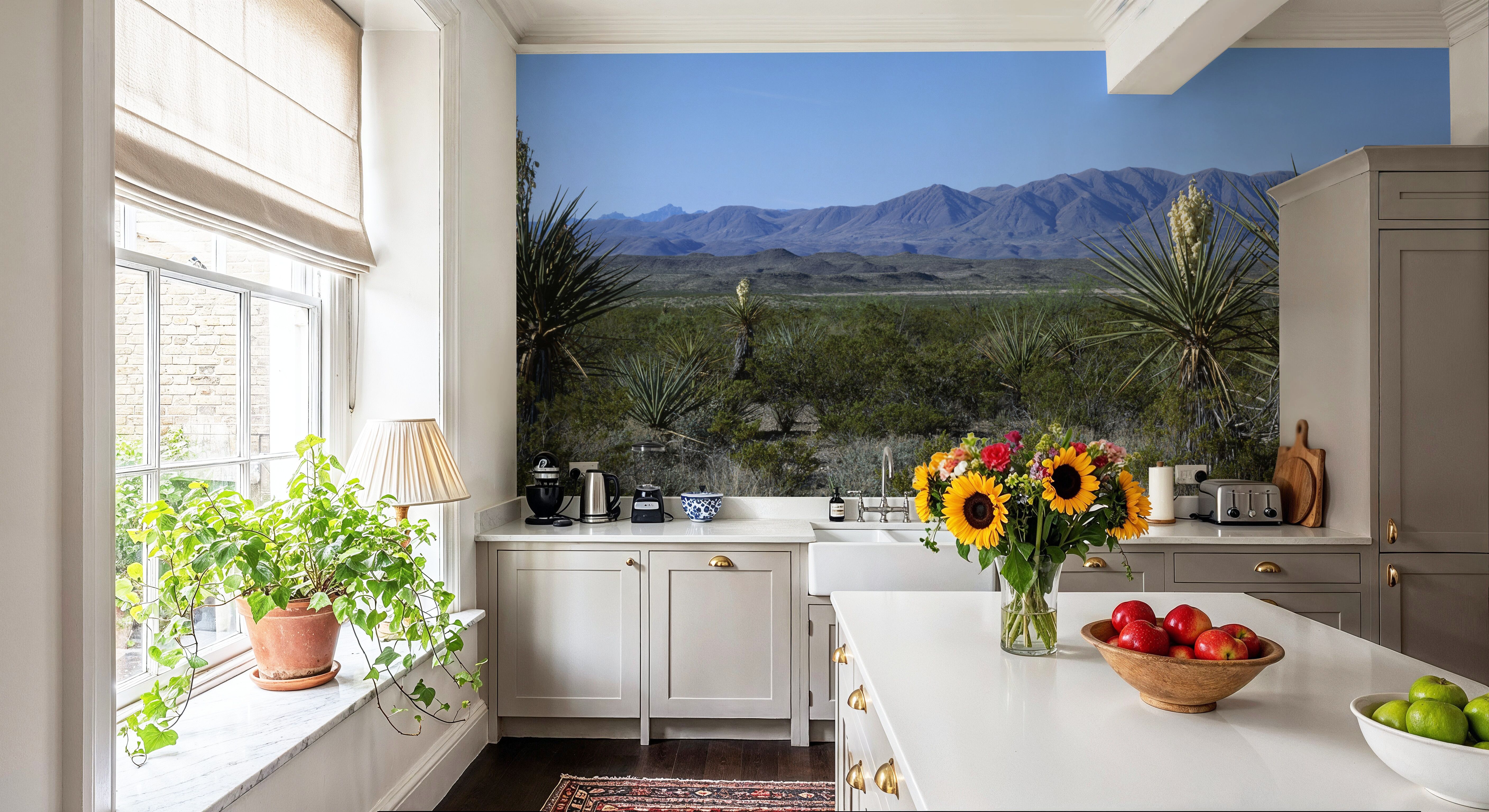 Desert Yucca Vista