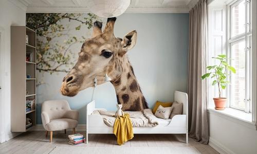 Giraffe Portrait II