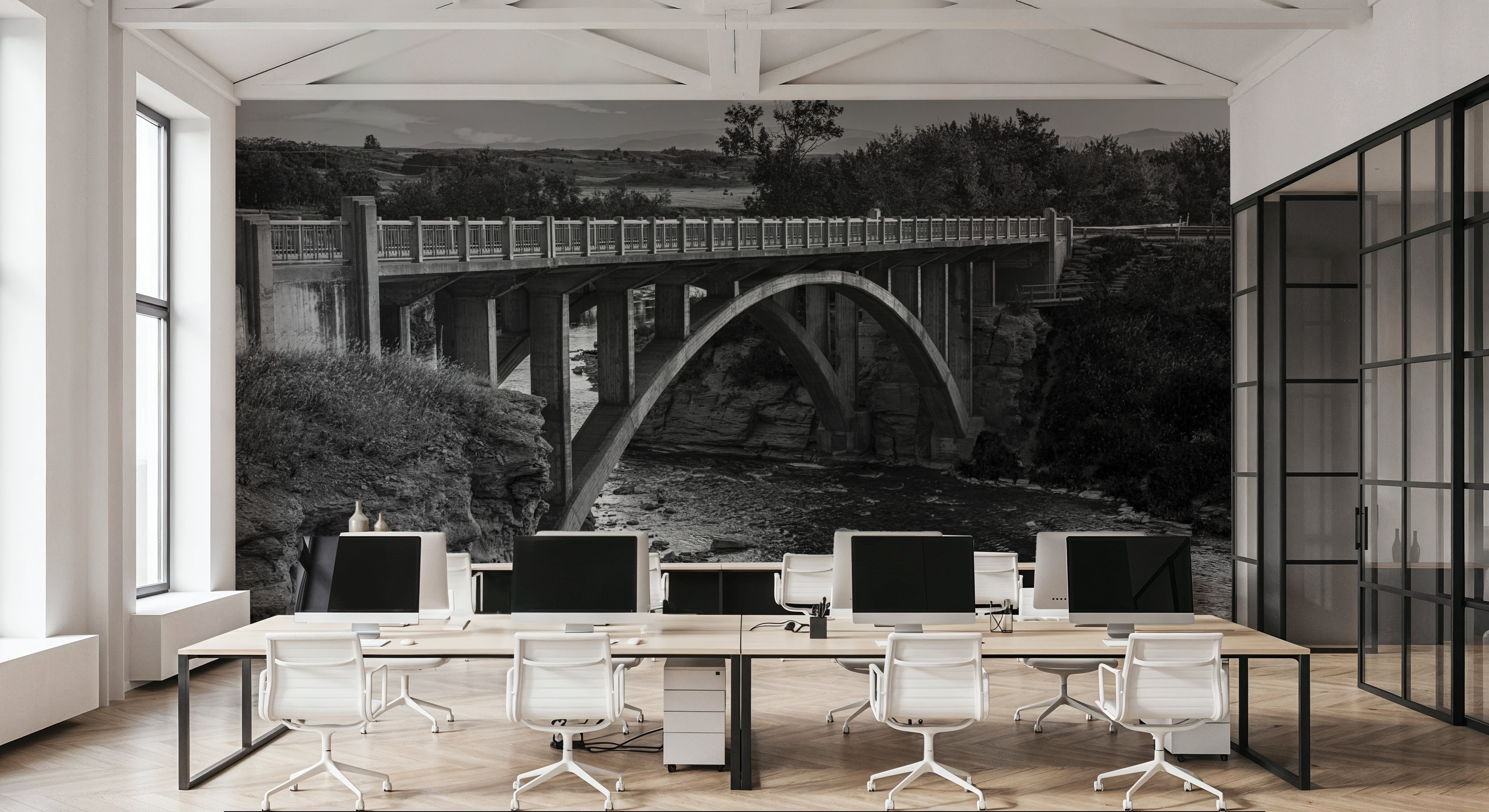 Lundbreck Falls Bridge BW
