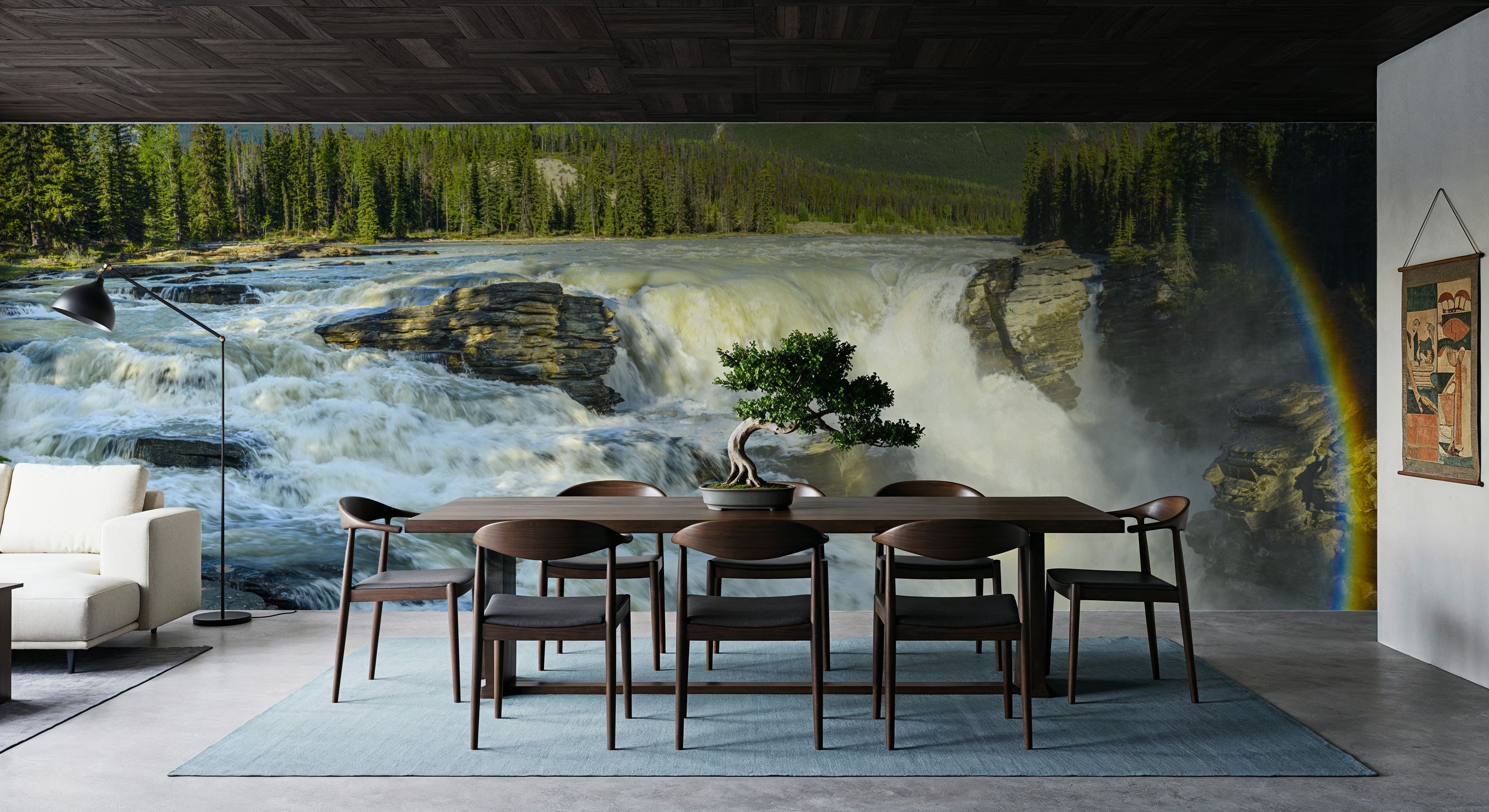 Athabasca River Falls
