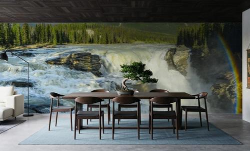Athabasca River Falls