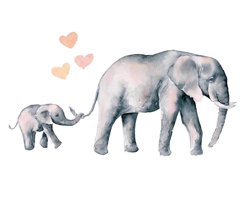 Elephant Love
