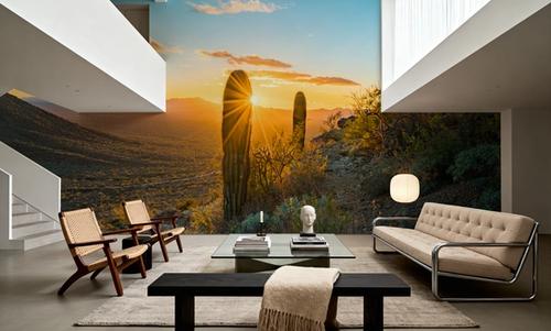 Saguaro Cacti