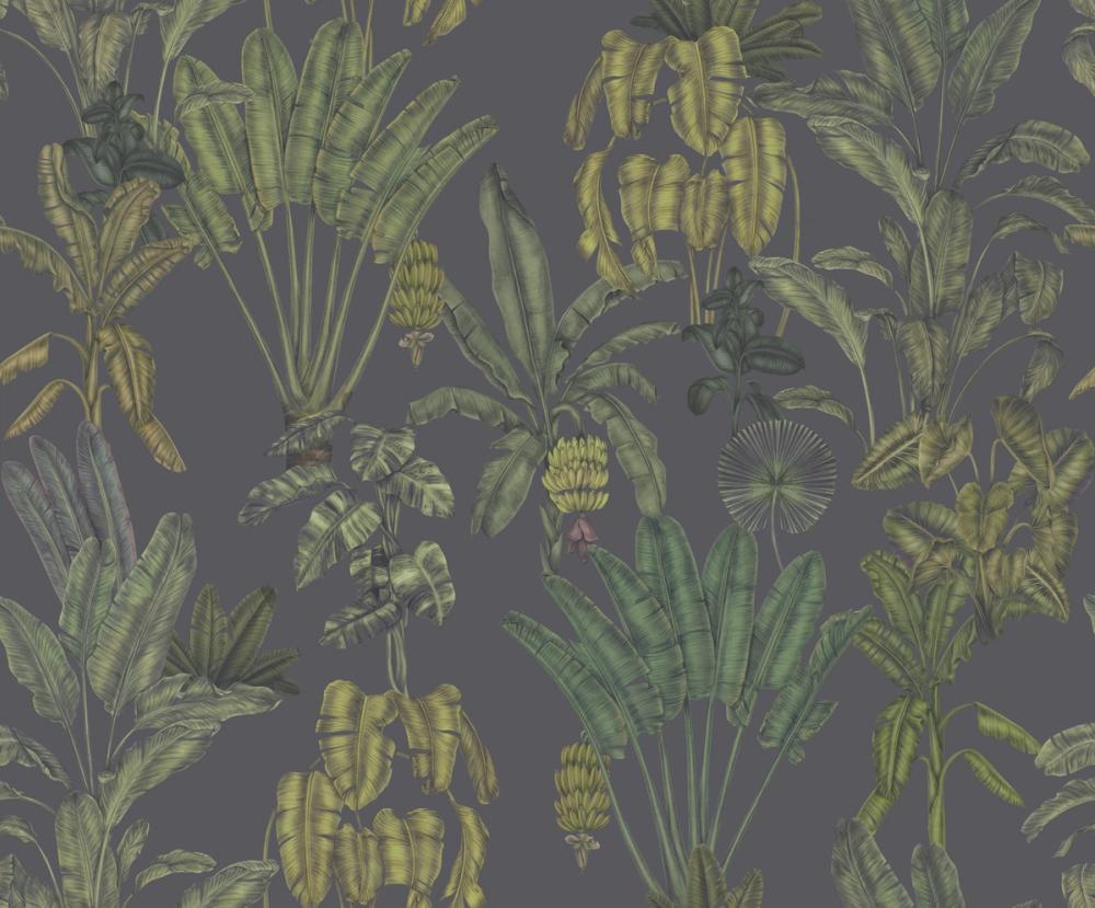 Banana Grove, Foggy Blue