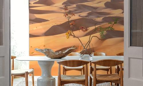 Dune Panorama
