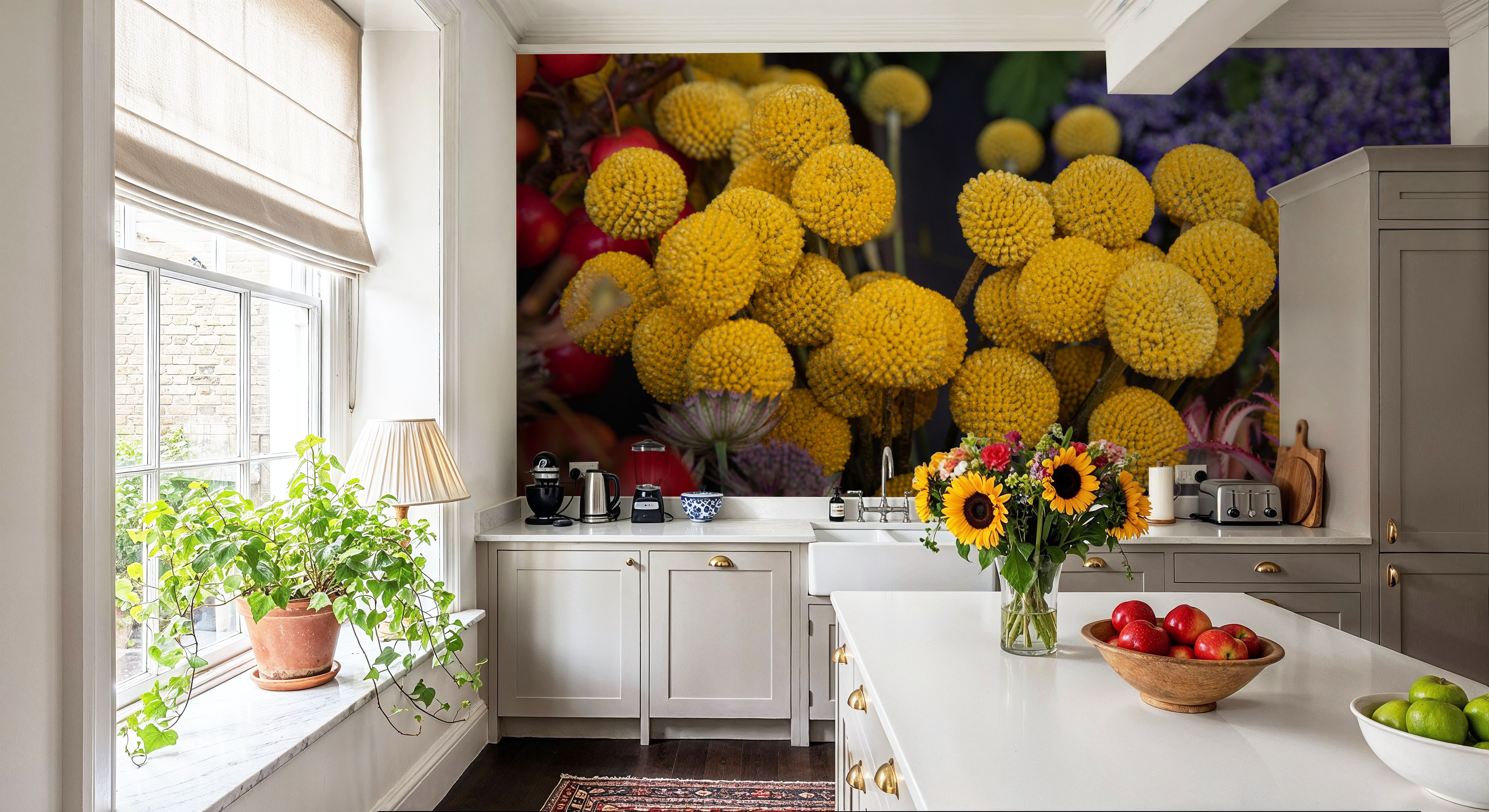 Billy Buttoms Craspedia