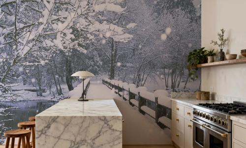 Winter Bridge Serenity
