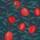 Pomegranate, Navy