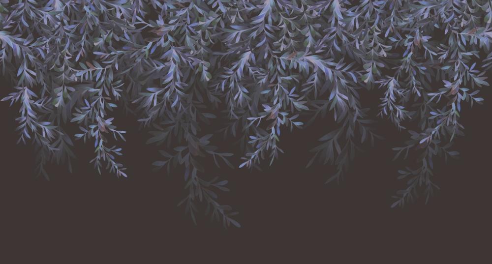 Lush Canopy, Midnight