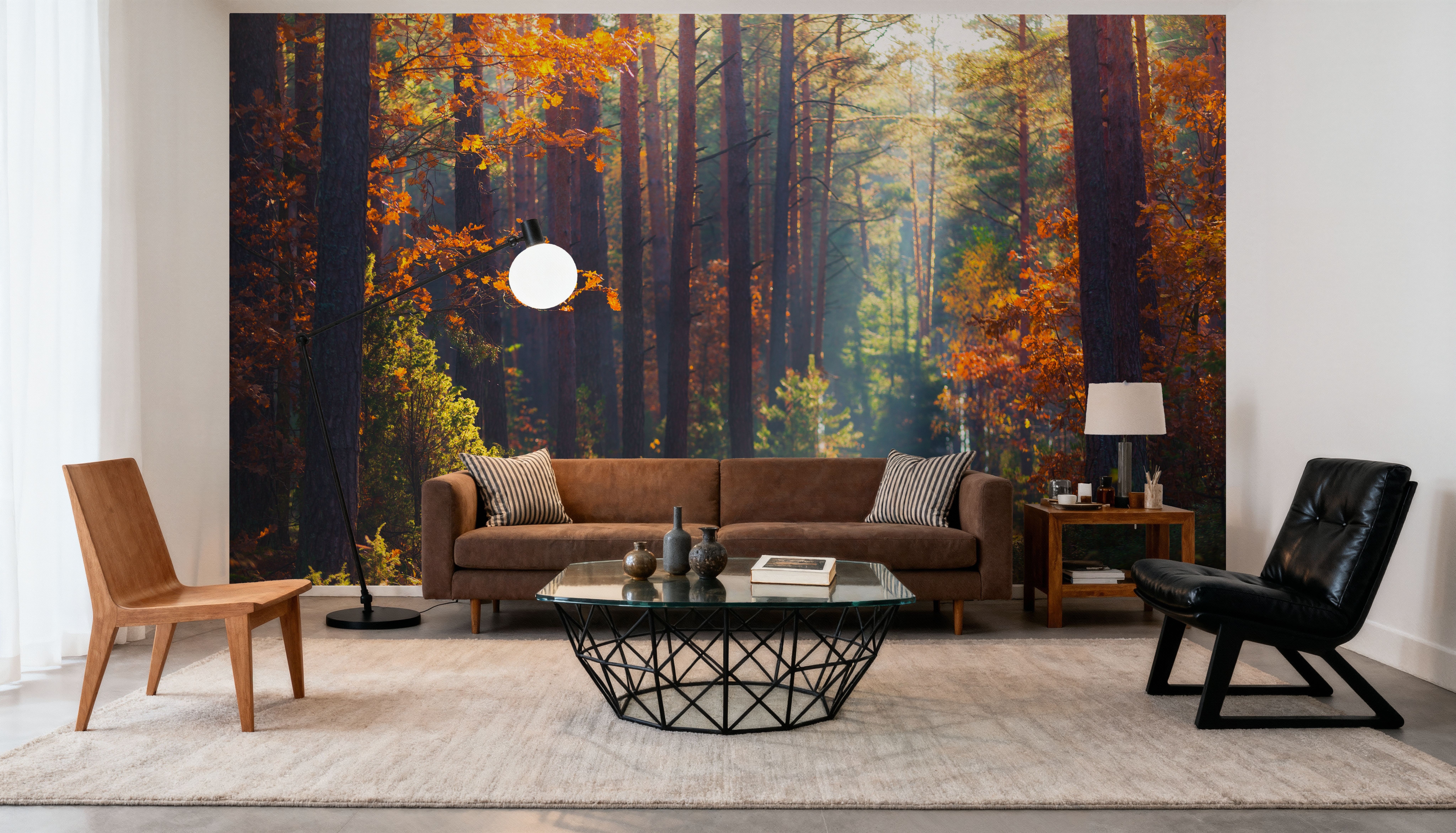 Autumn Forest Morning