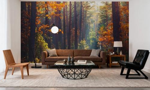 Autumn Forest Morning