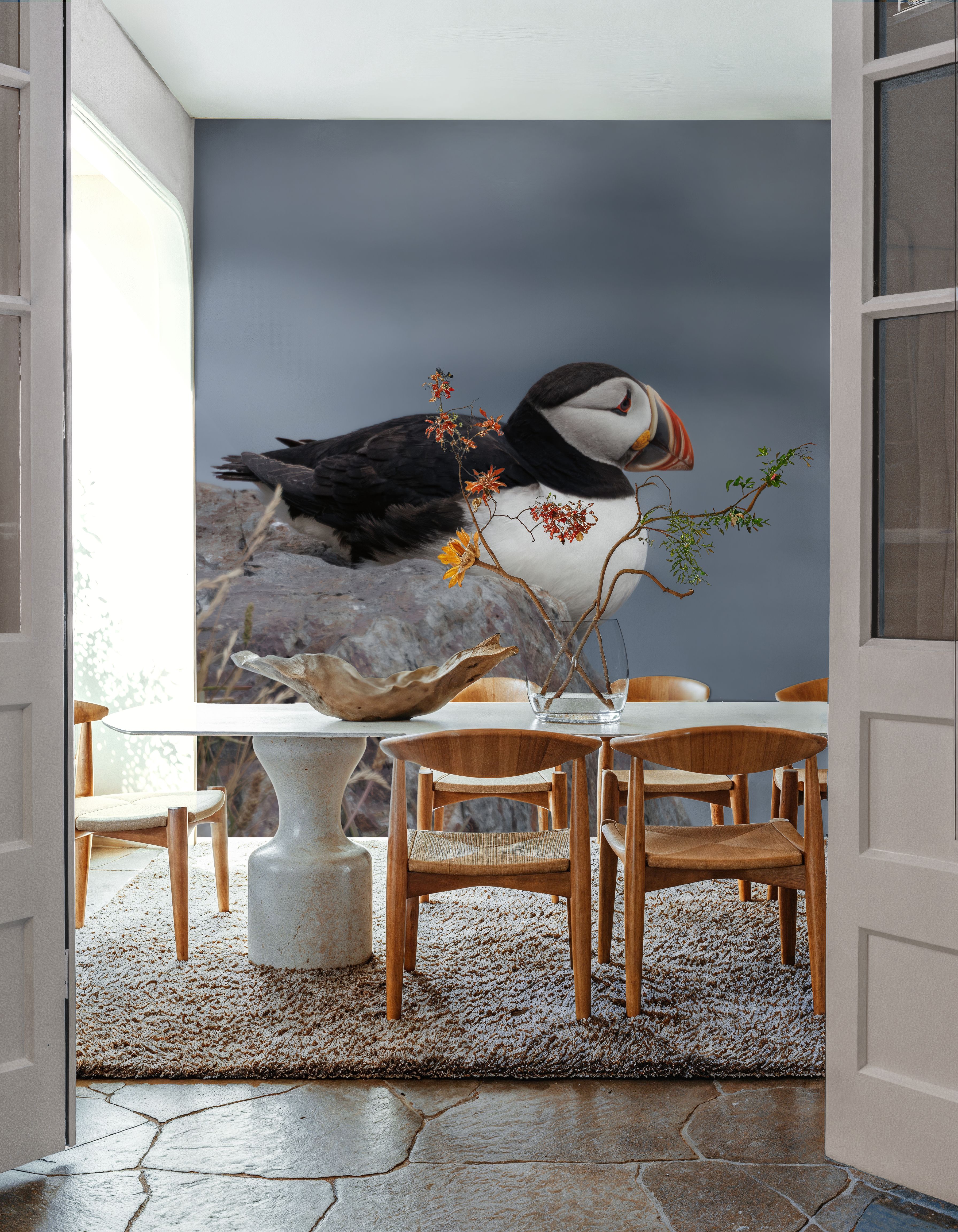 Atlantic Puffin Resting