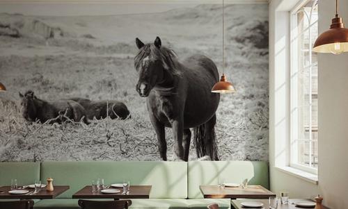 Dartmoor Ponies I