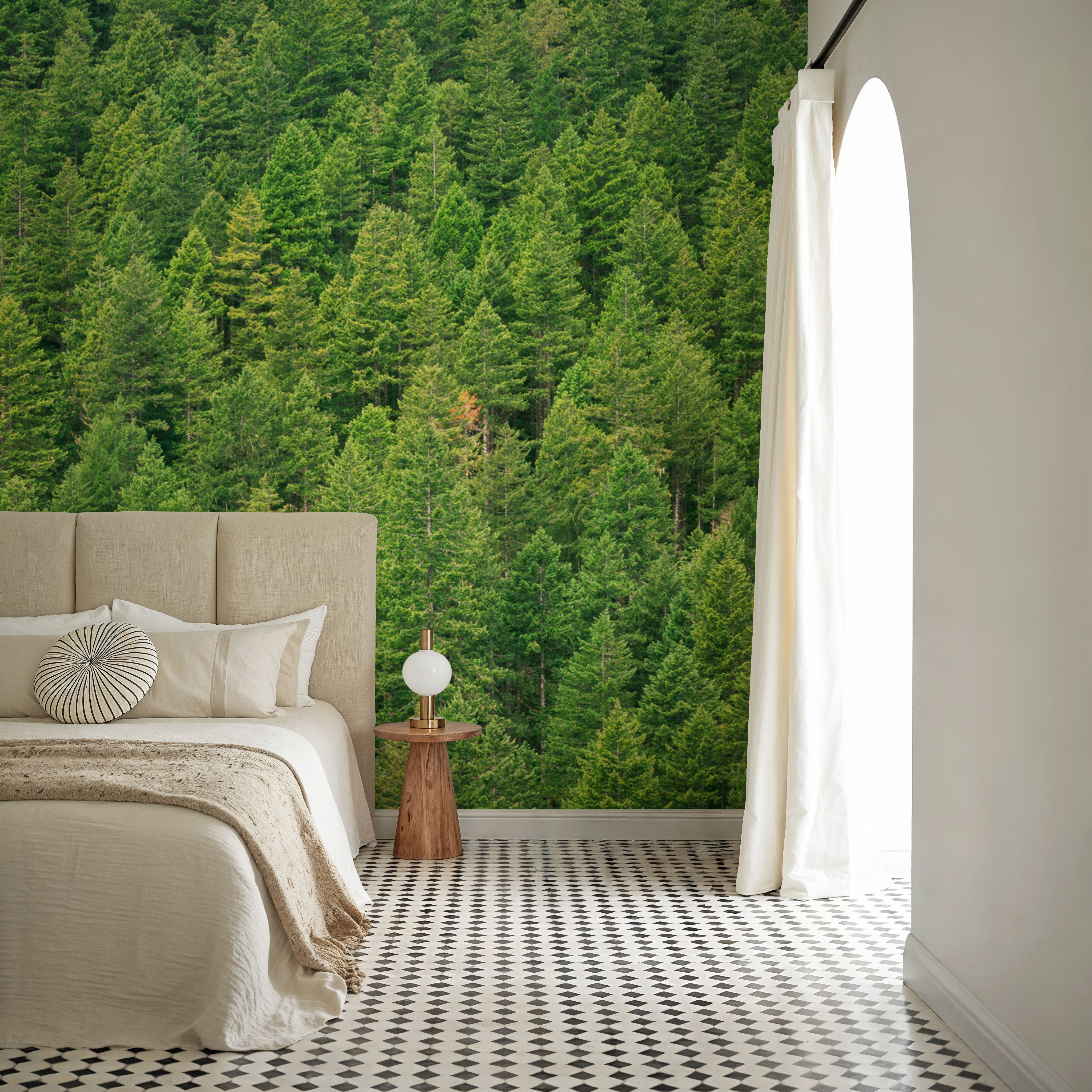 Evergreen Forest in Washintong State