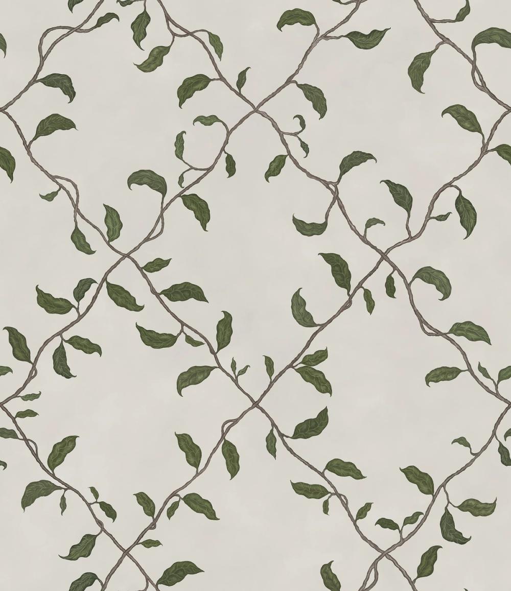 Emerald Trellis Petite, Cloud