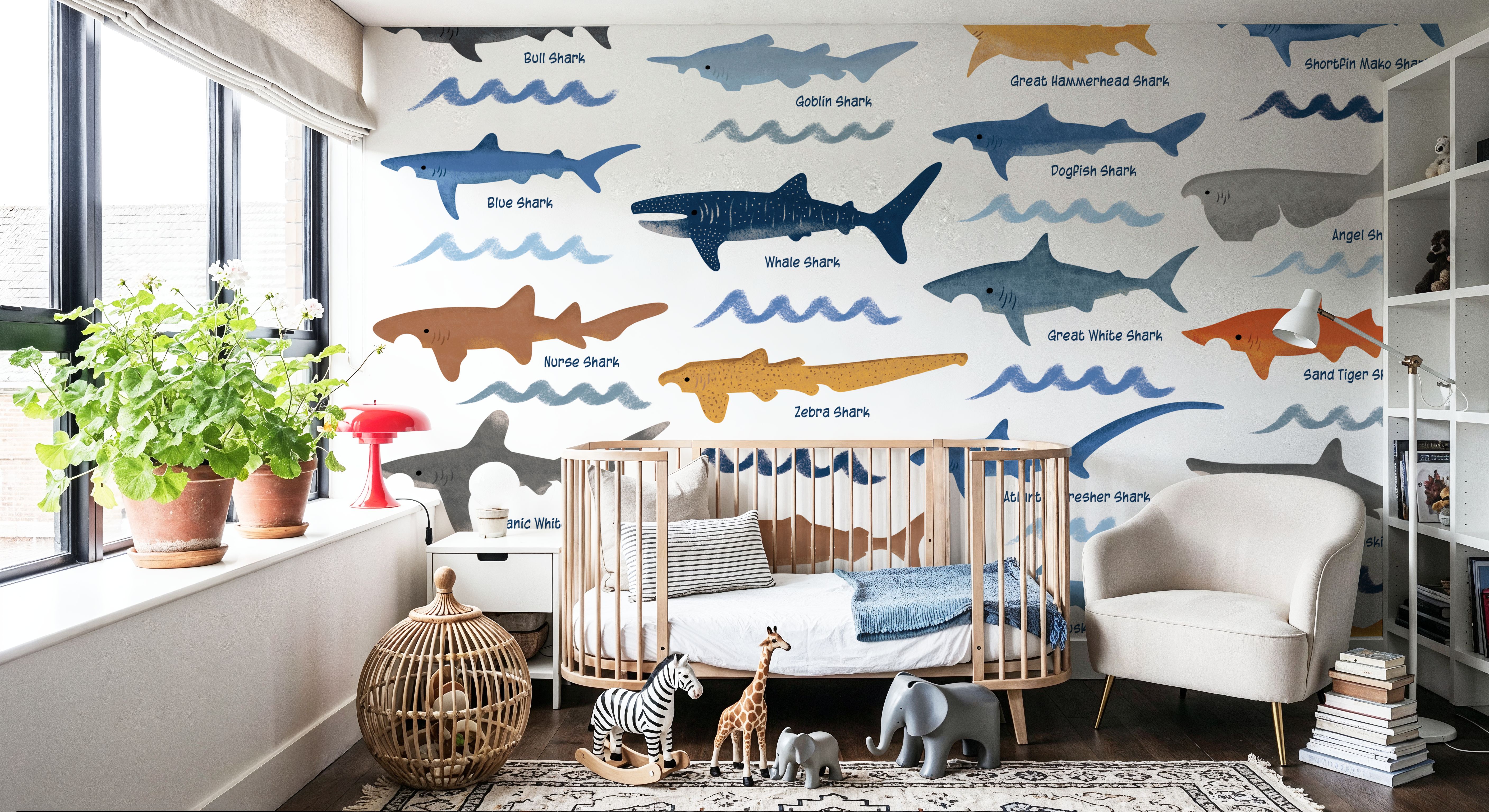 Sharks of the World Chart