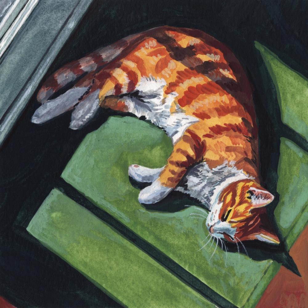 Afternoon Nap
