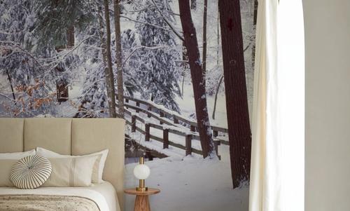 Winter's Passage Snow