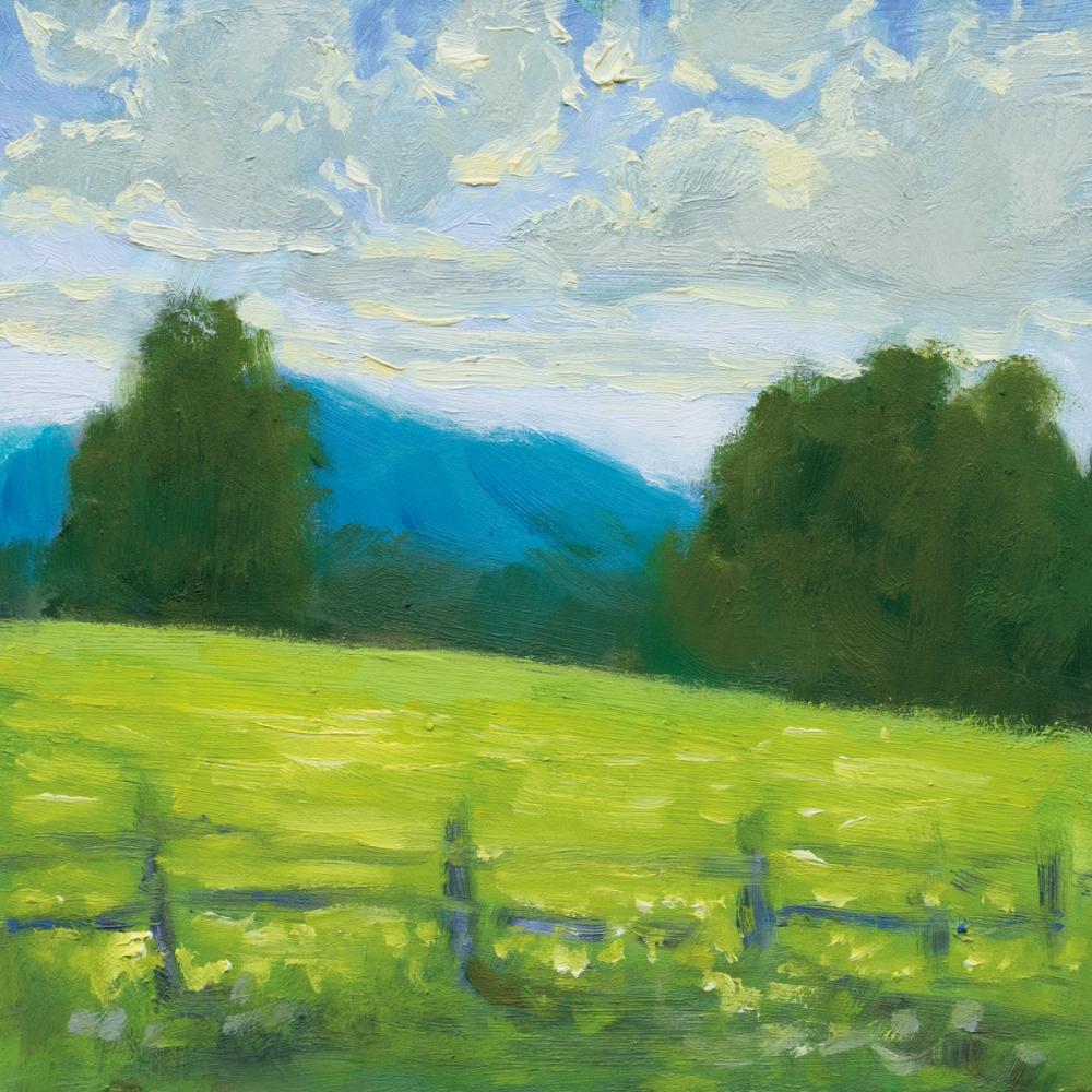 Summer in the Mountains