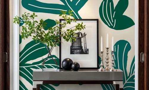 Monstera Cuttings, Green