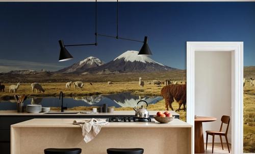 Andean Serenity