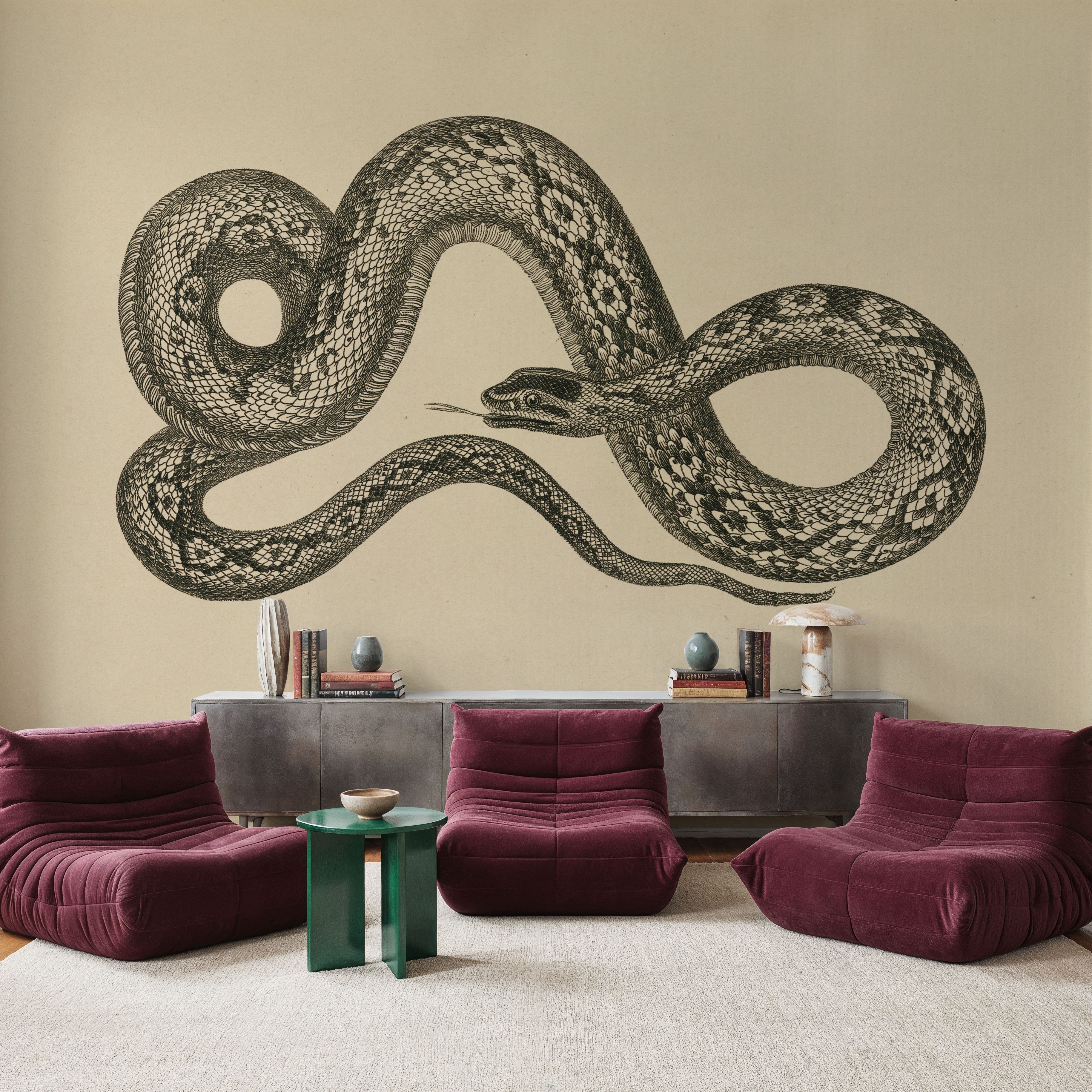 Vintage Boa Constrictor