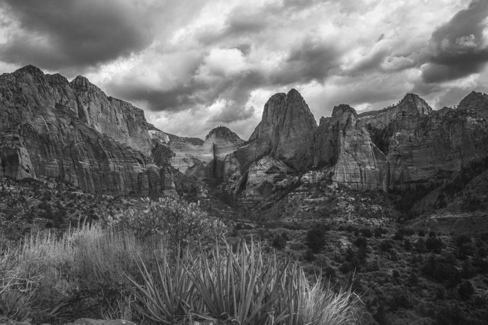 Zion National Park Storms BW