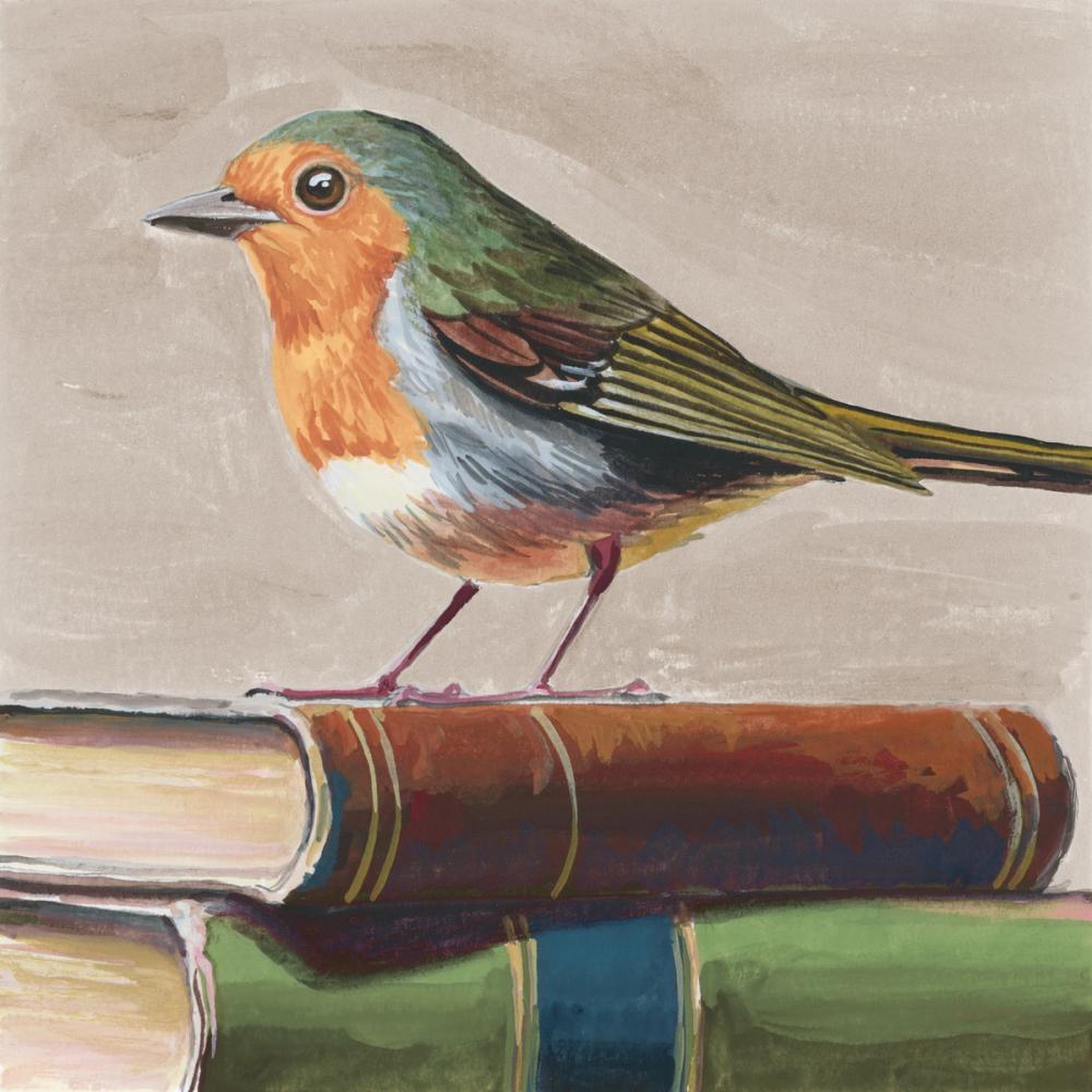 Academia Bird Study Neutral