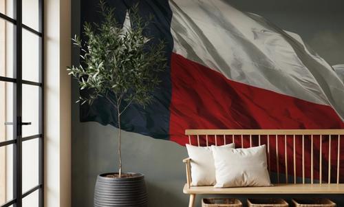 Texas Waves