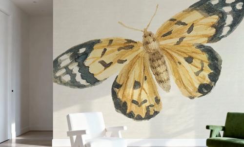 Honeybloom Butterfly II