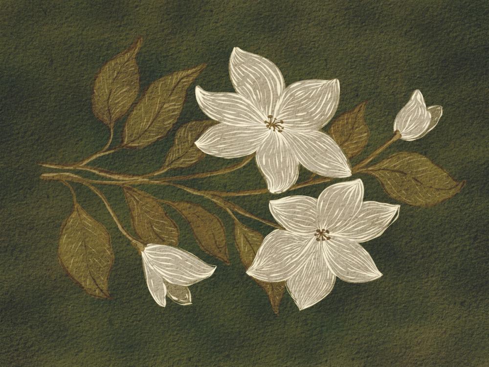 Deep Blooms I